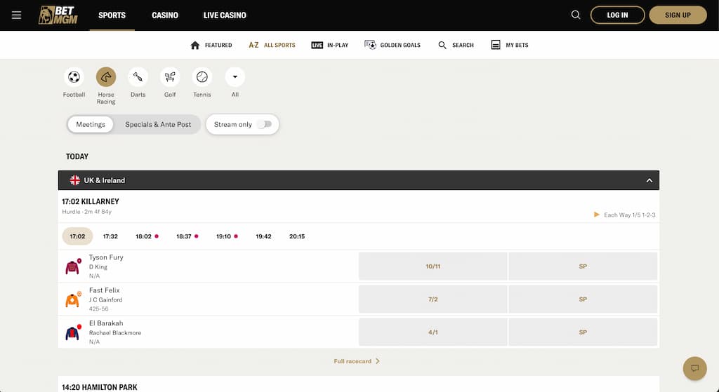 BetMGM horse racing betting page