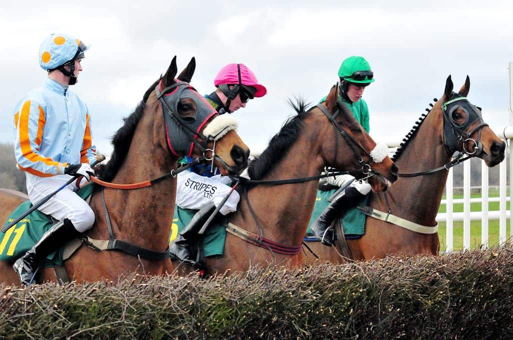 Racing Tips: Andrew Mount’s Spreadex Analysis – Sunday, October 6th – Sportscasting UK