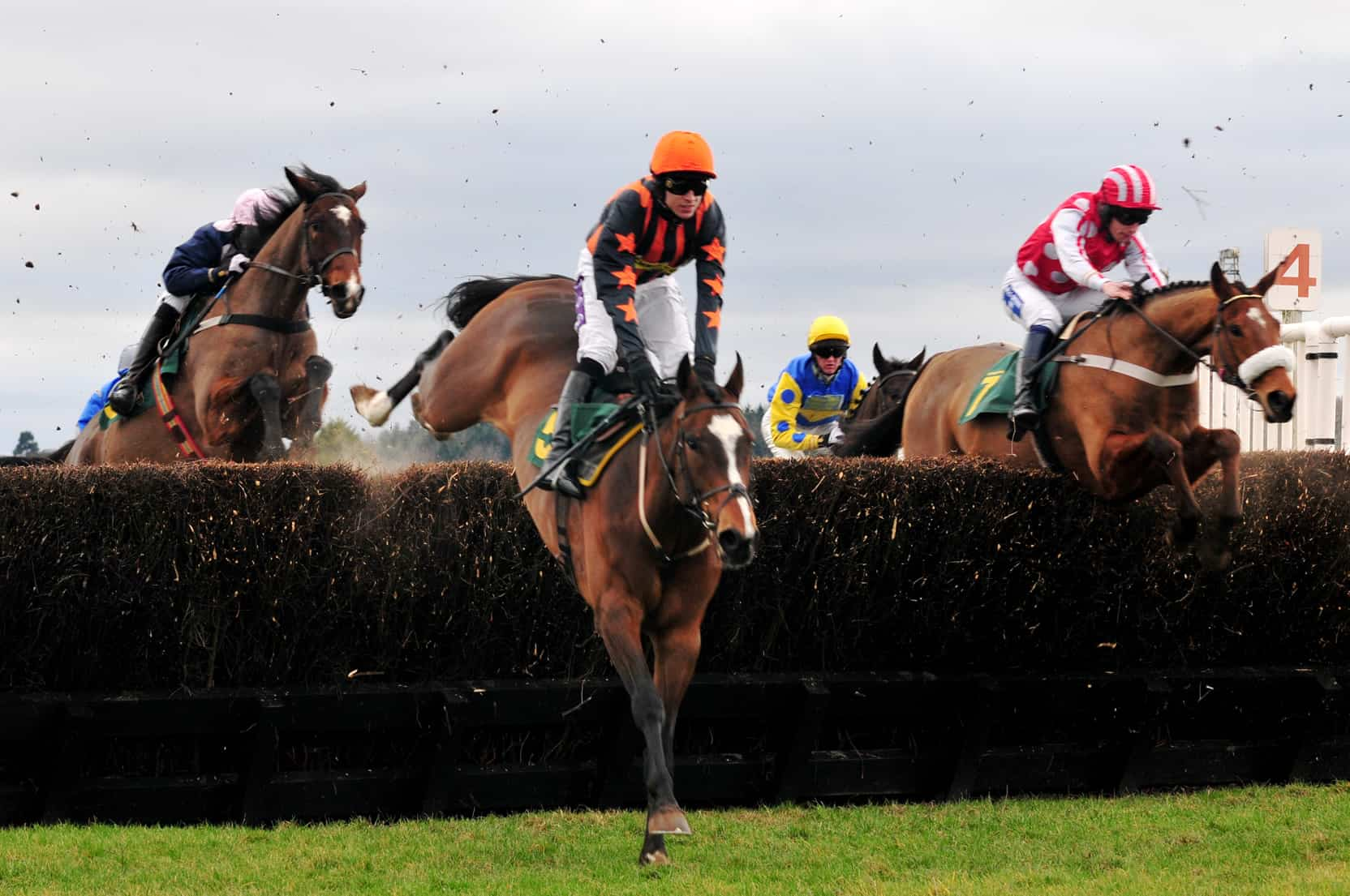 Racing Tips: Andrew Mount’s Spreadex Analysis – Tuesday, October 8th – Sportscasting UK