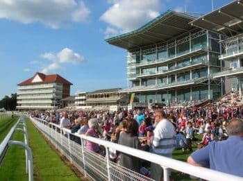 York races NEWNEW