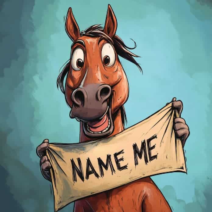 horse name