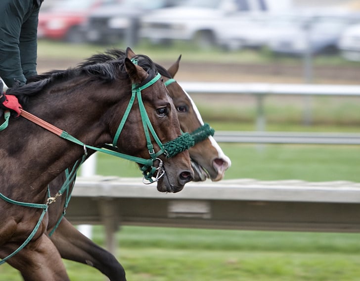 Racing Tips: Andrew Mount’s Monday Picks – September 30th