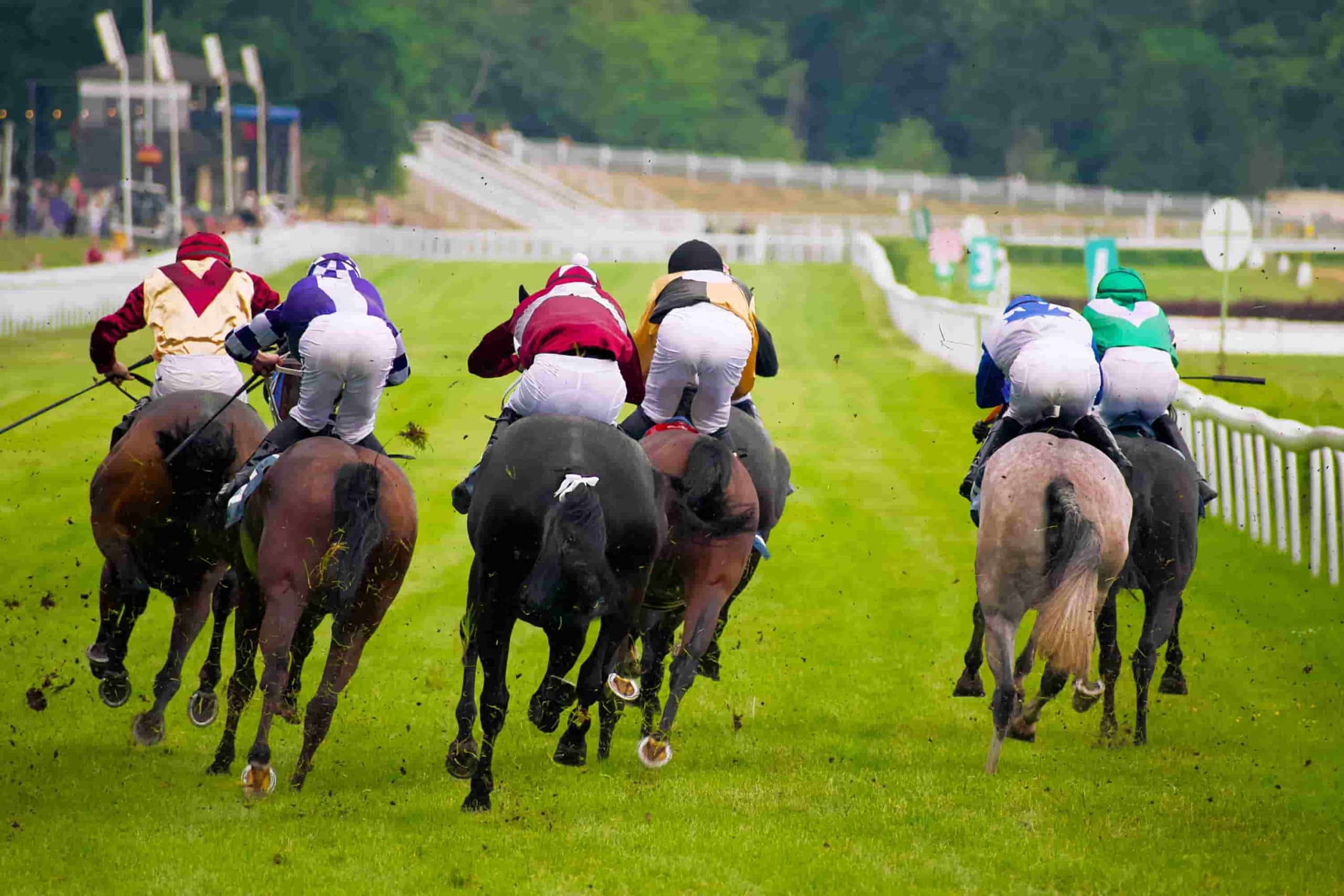 Racing Tips: Andrew Mount’s Spreadex Analysis – Saturday, August 24th – Sportscasting UK