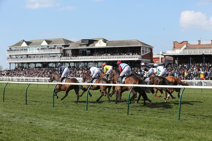 Ayr Gold Cup(1)