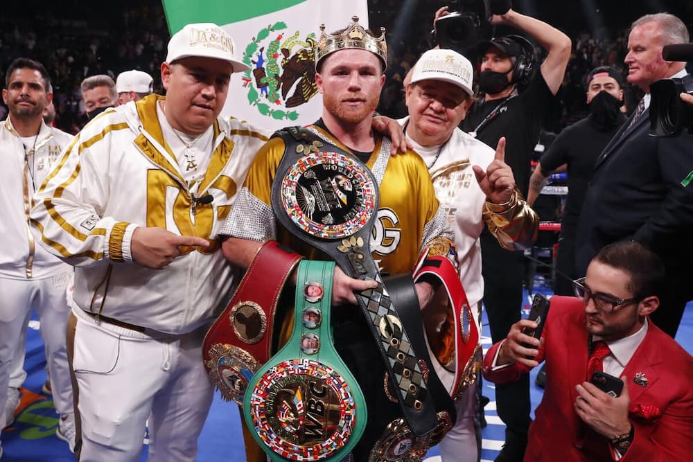 Canelo Belts - Boxing