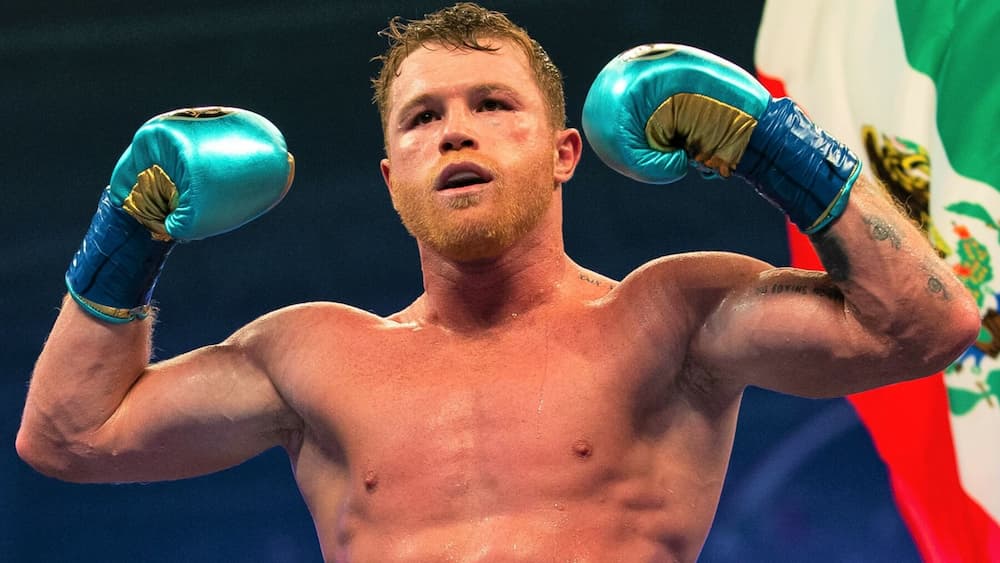 Canelo Record: Mexican Hero Is A Four-Weight World Champion