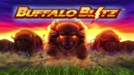 buffalo-blitz