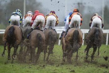 muddy horse