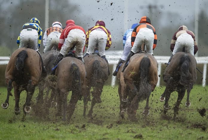 Which Cambridgeshire Handicap Horses Will Like Heavy Ground?