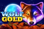 wolf-gold