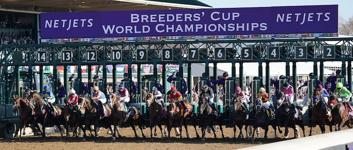 breeders cup runners(1)