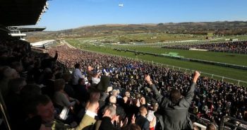 cheltenham-course