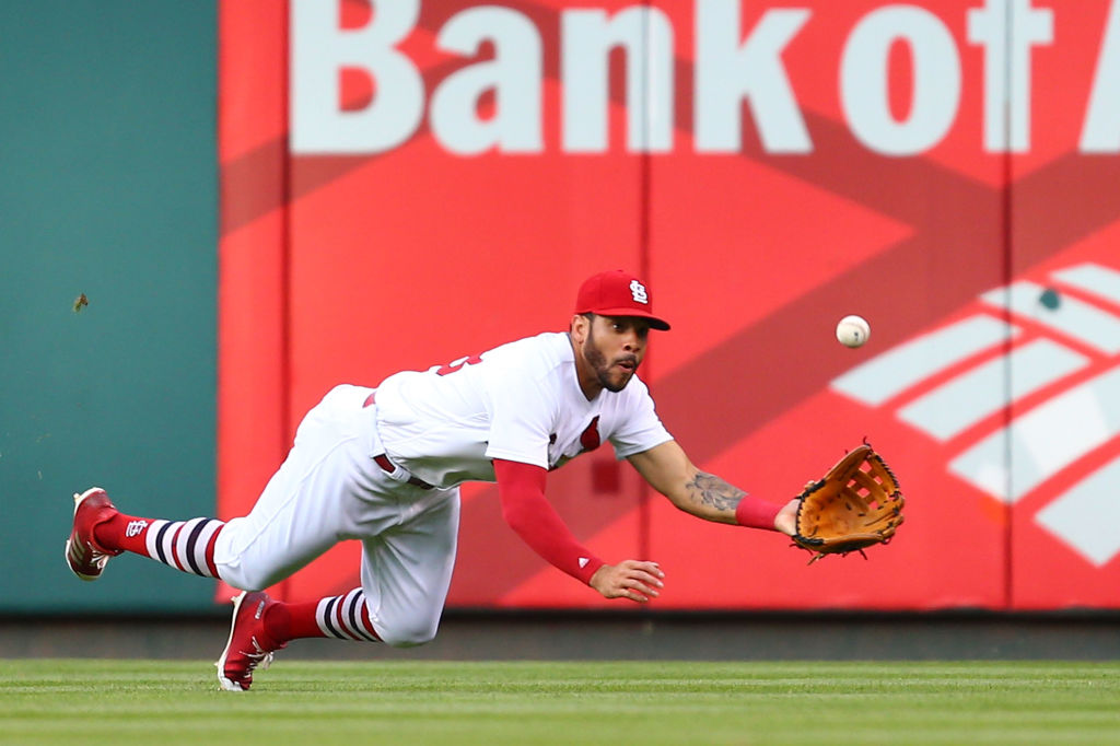 tommy pham shirts