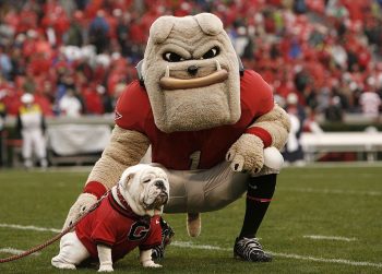 Georgia Bulldogs