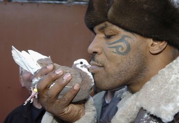 Mike Tyson once knocked out a sanitation worker who threw away his dead pigeon.