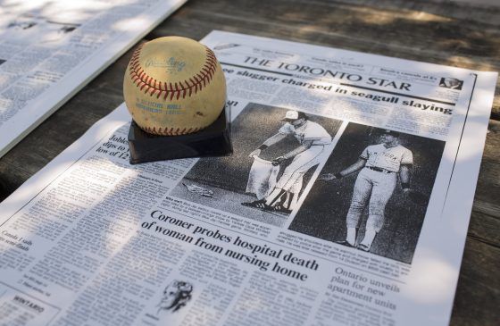 During a visit to Toronto's Exhibition Stadium, New York Yankees outfielder Dave Winfield accidentally killed a seagull.