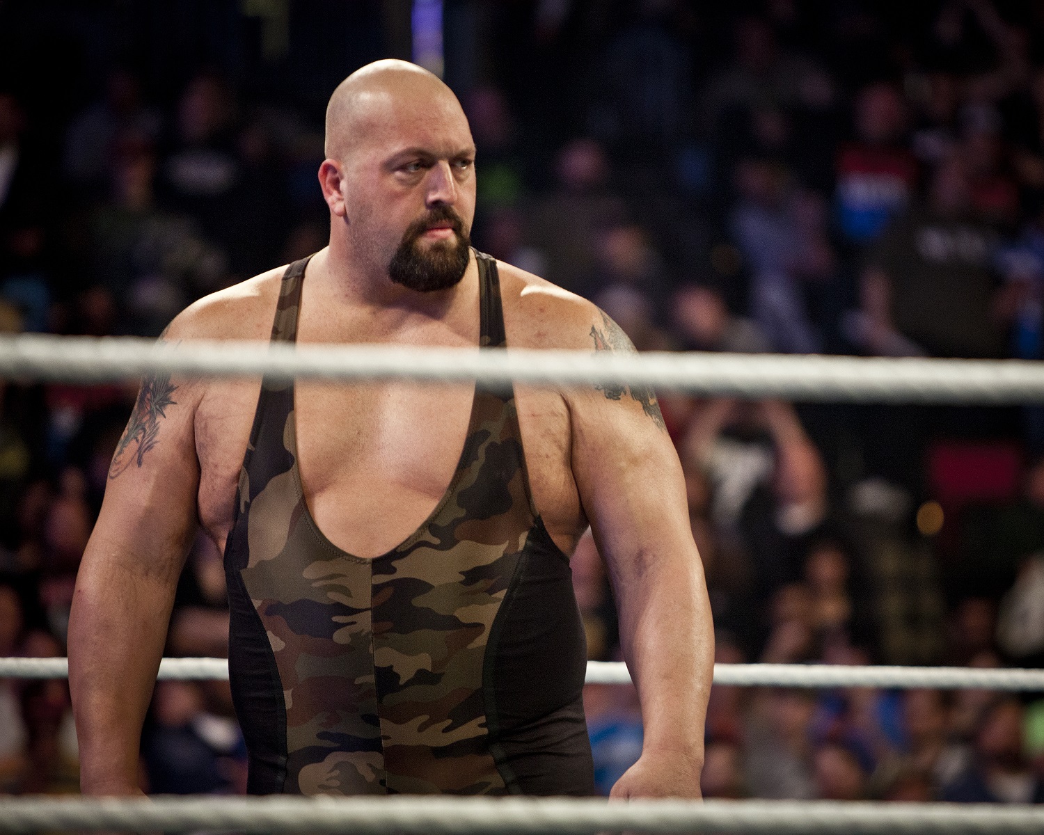 Despite His Show Being Dropped by Netflix, WWE Superstar Big Show Still