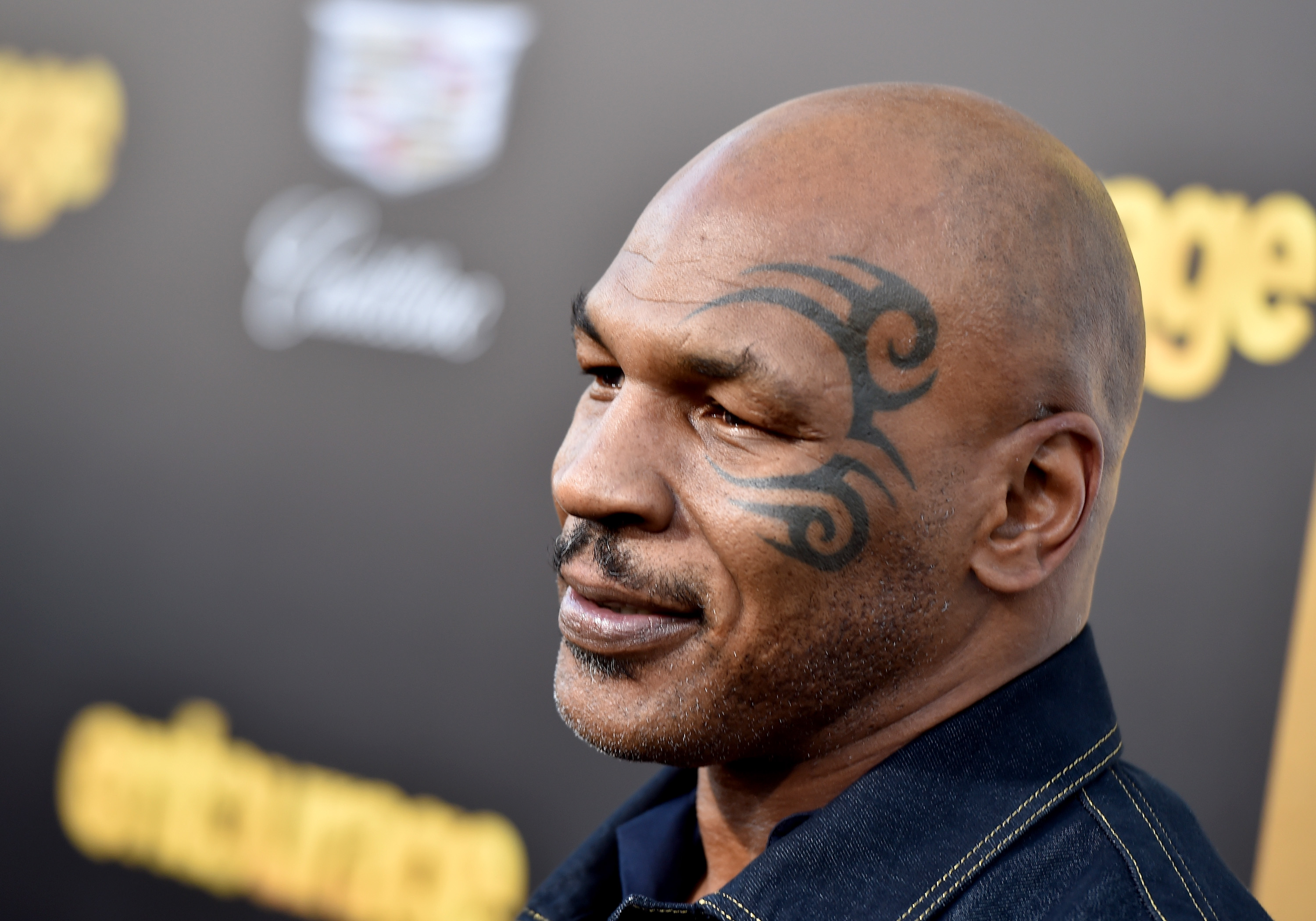 Mike Tyson 'Death Is Even More Glorious Than Life'