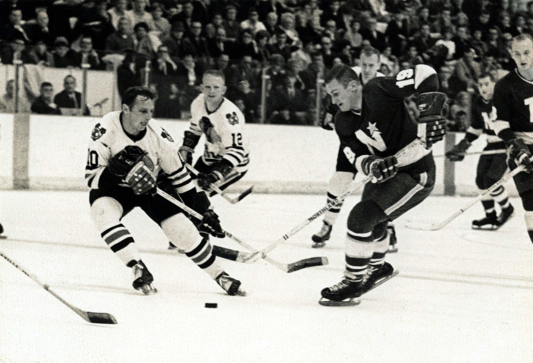 Remembering the NHL's Oakland Seals, the forgotten member of the