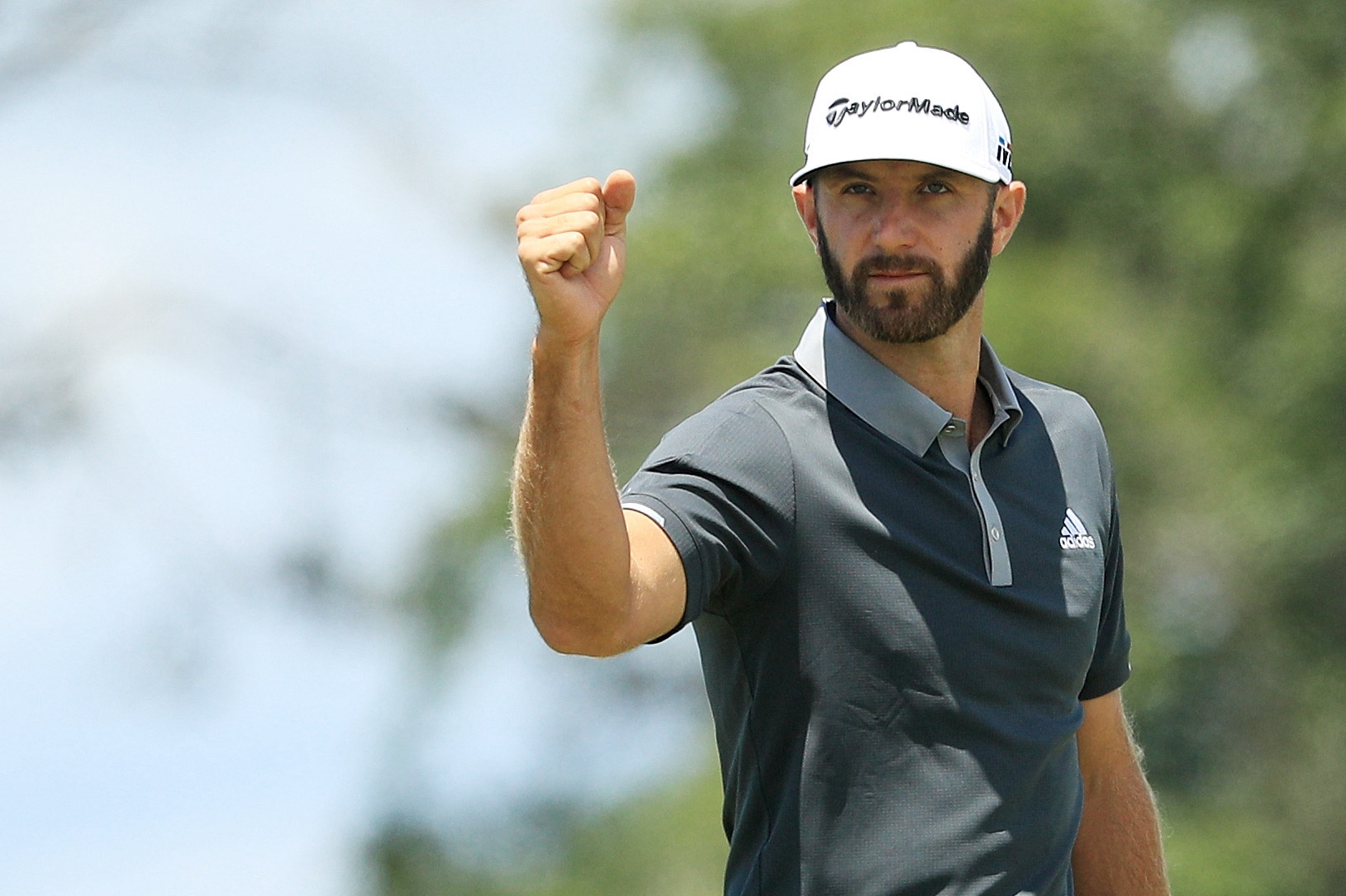 dustin johnson sim 2