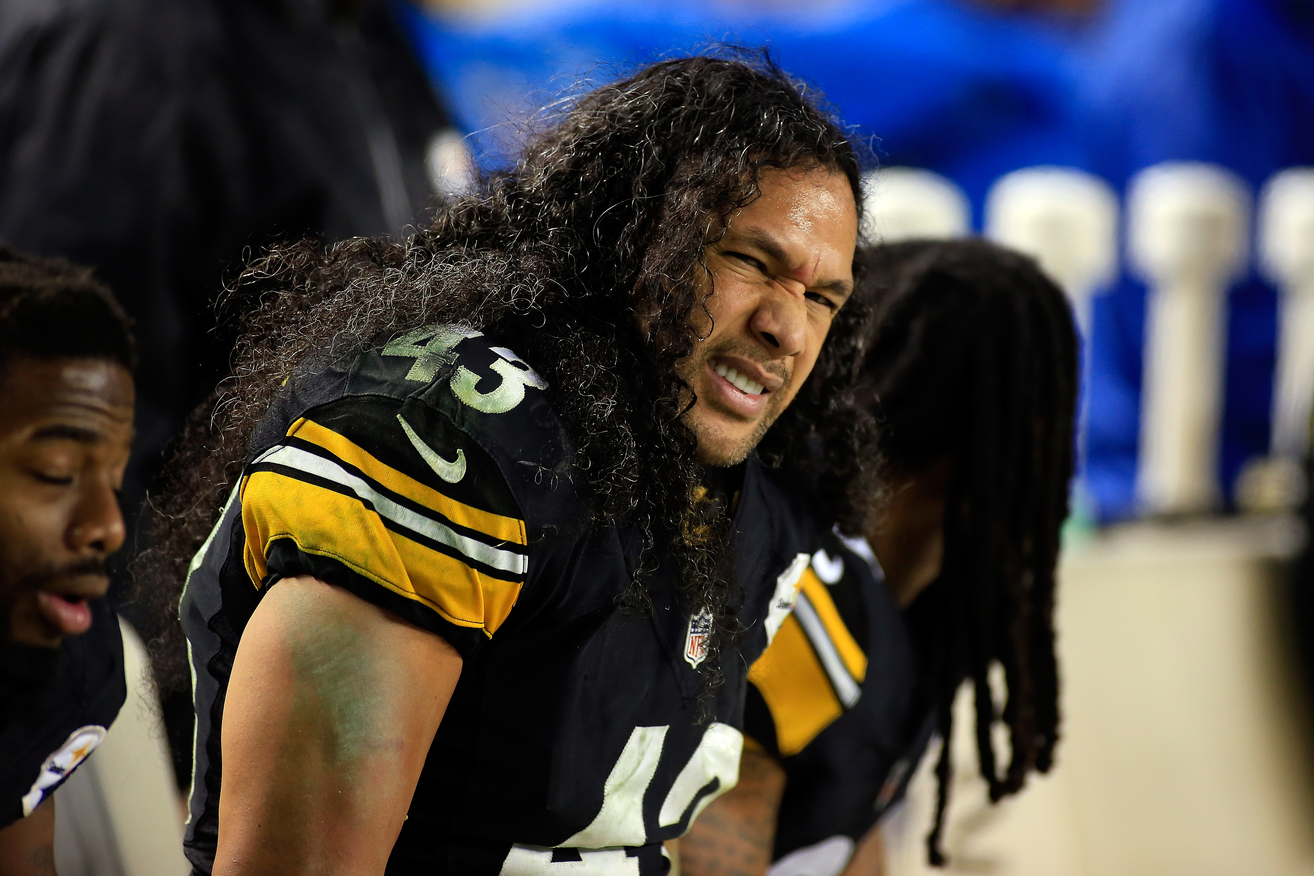 did troy polamalu have a brother        <h3 class=