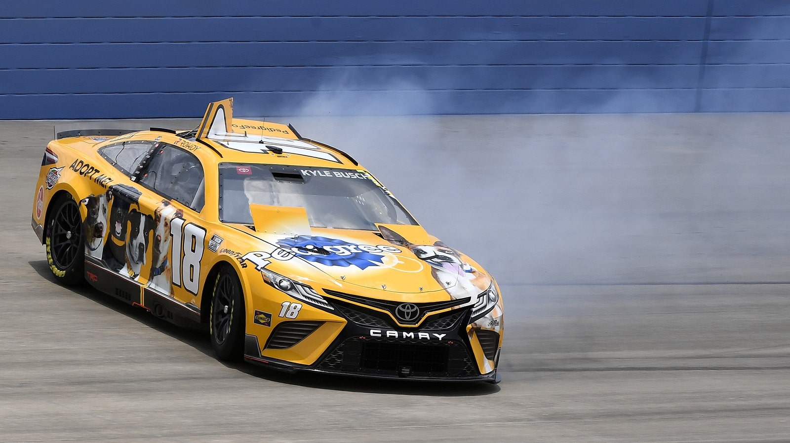 Kyle Busch Is Fighting His Car and Social Media Critics This Weekend in