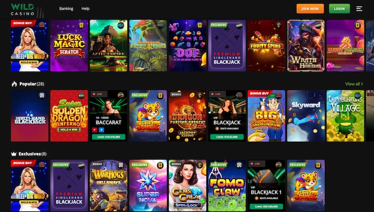 Wild Casino homepage - The best Cash App Casinos