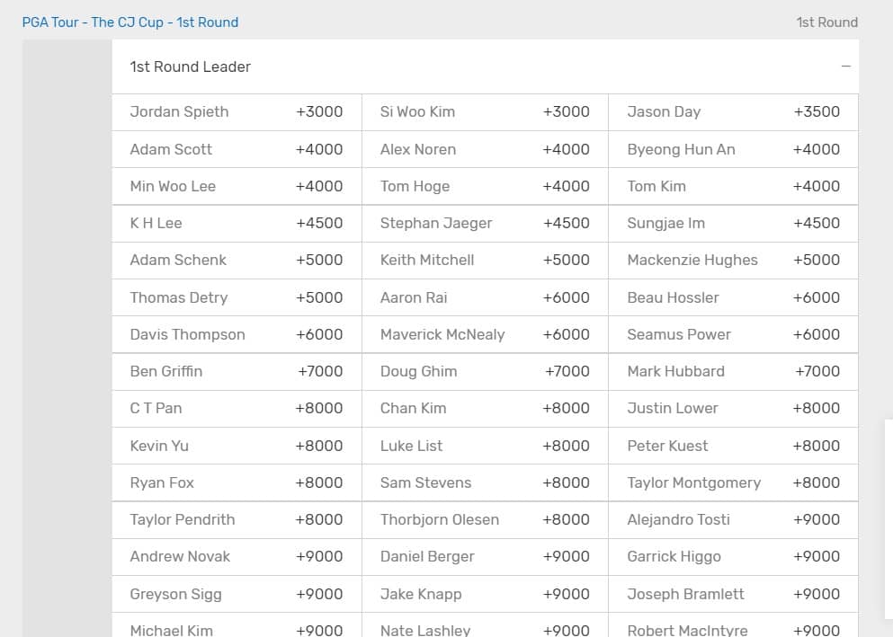 An example of round leader betting market odds for Bovada sportsbook.