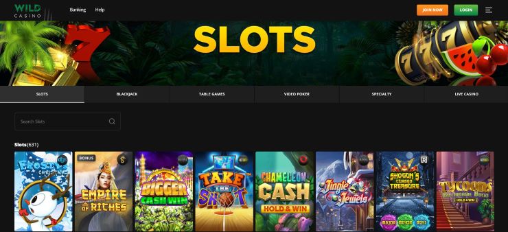 Wild Casino slots page