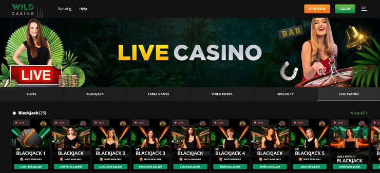 Wild Casino Live Games