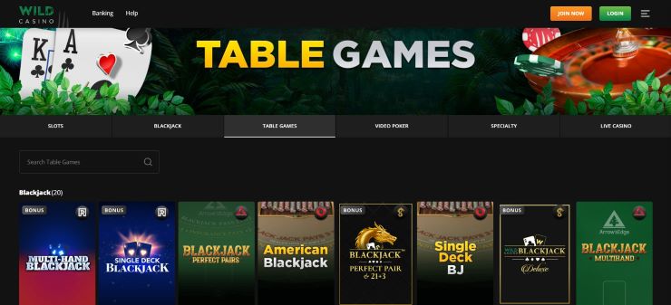online casinos in FL Wild Casino Table Games