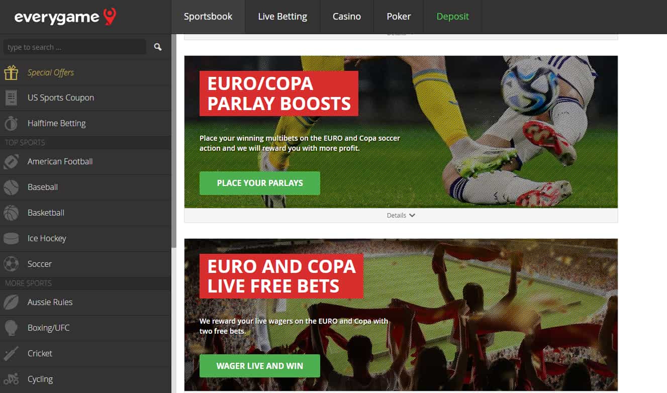euro 2024 betting sites Everygame offers