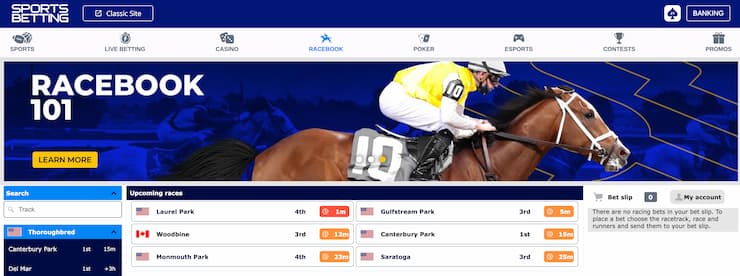 Top horse racing betting sites - homepage Sportsbetting.ag