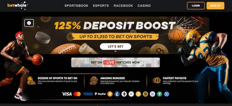 BetWhale homepage - one of the best darts sports betting sites