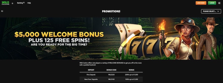 Wild Casino bonus code - $5000 casino welcome bonus