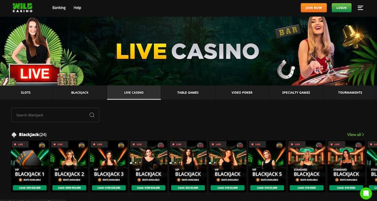 Wild Casino homepage - sign up