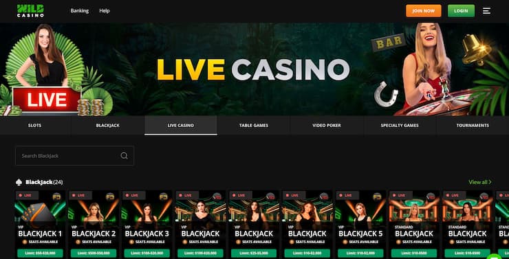 Wild Casino games homepage 