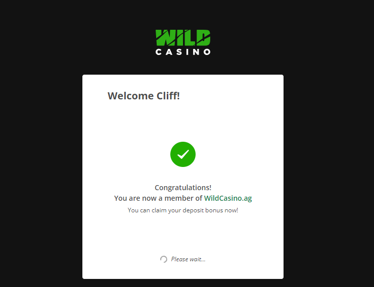 Wild Casino verification email form