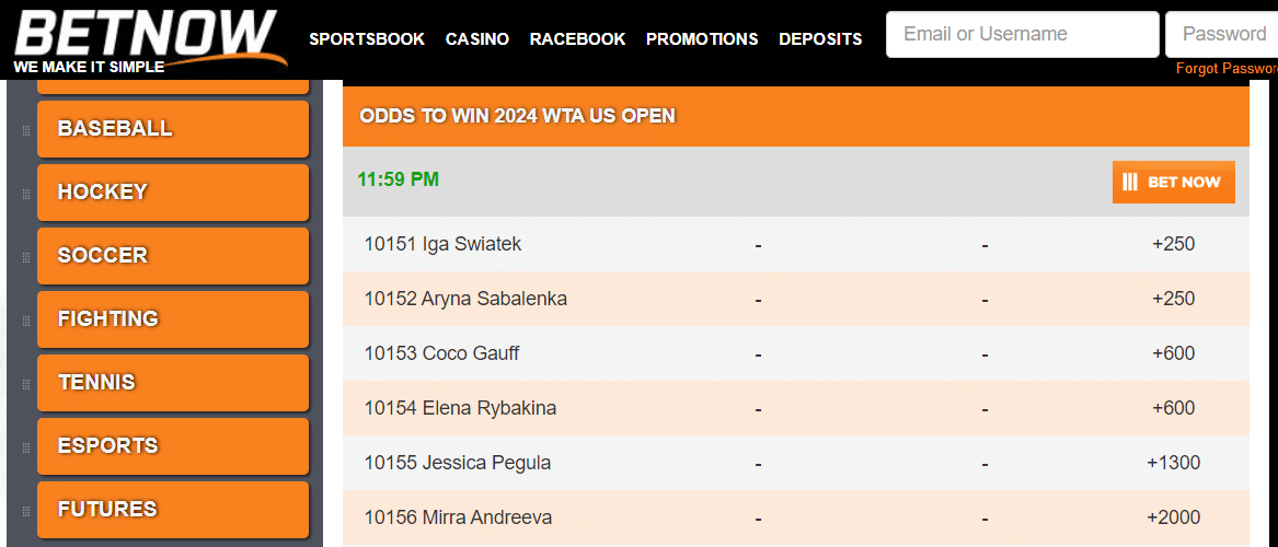 US Open Tennis Betting Sites - BetNow