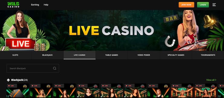 Sign up at Wild Casino