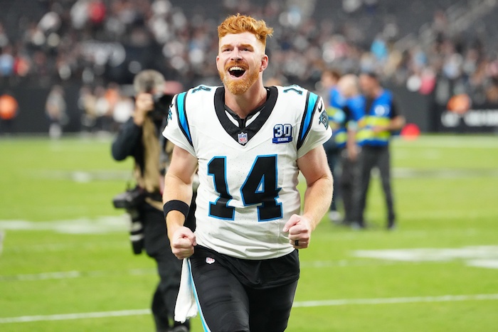 Carolina Panthers quarterback Andy Dalton (14).