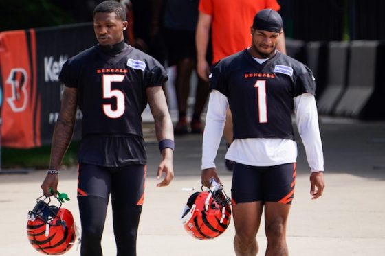 Cincinnati Bengals wide receiver Tee Higgins (5) and Cincinnati Bengals wide receiver Ja'Marr Chase (1).