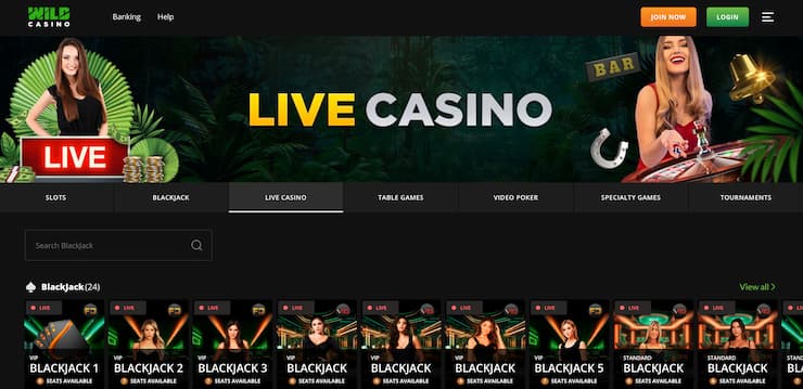 Wild Casino main homepage