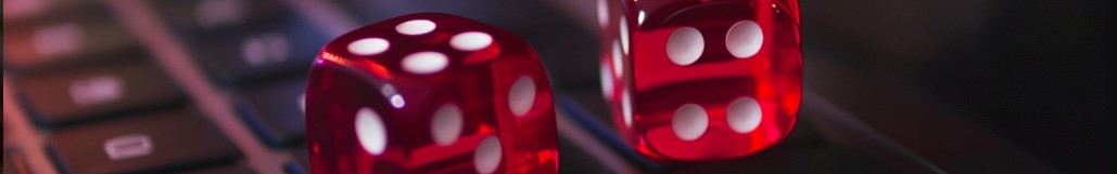 Top casinos online por sus proveedores