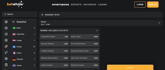 BetNow - one of the best sites for sports betting in Idaho