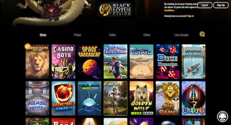 Black Lotus - top rated site for online gambling in Connecticut