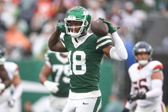 New York Jets wide receiver Mike Williams celebrates a first down.