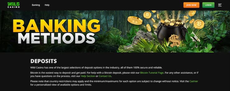 Wild Casino deposits page