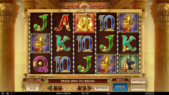 Book of Dead Play'n Go slot